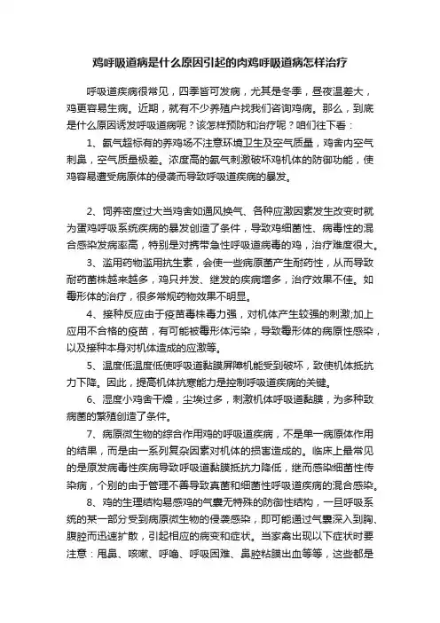 鸡呼吸道病是什么原因引起的肉鸡呼吸道病怎样治疗