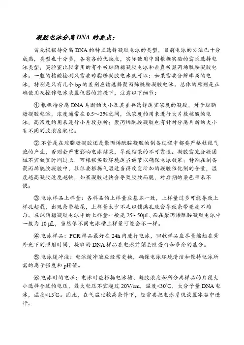 电泳注意要点