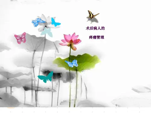 术后病人的疼痛管理ppt课件
