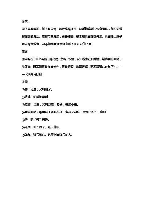 螳螂捕蝉黄雀在后的原文