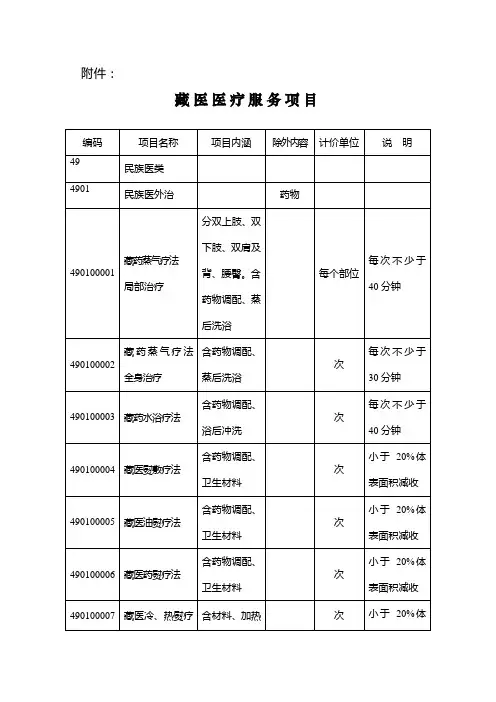 藏 医 医 疗 服务 项 目