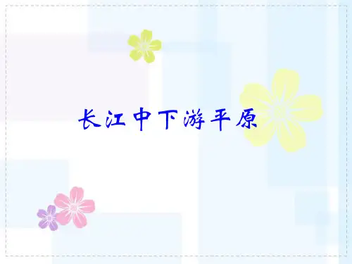 长江中下游平原