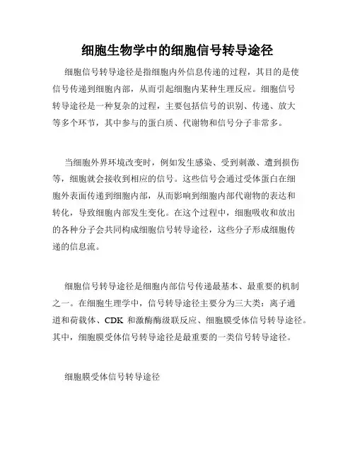 细胞生物学中的细胞信号转导途径