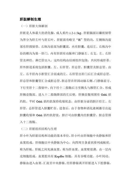 肝胆解剖生理