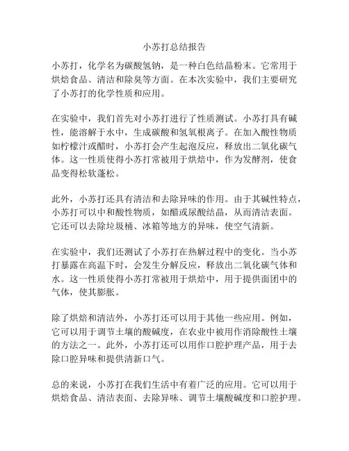 小苏打总结报告