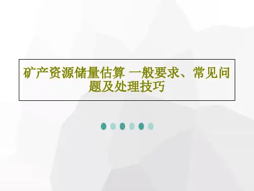 矿产资源储量估算 一般要求、常见问题及处理技巧共48页文档