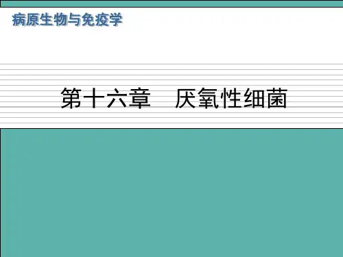 病原生物与免疫学厌氧性细菌