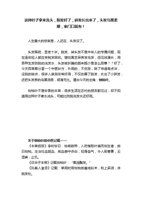 这种叶子拿来洗头，脱发好了，碎发长出来了，头发乌黑柔顺，家门口就有！