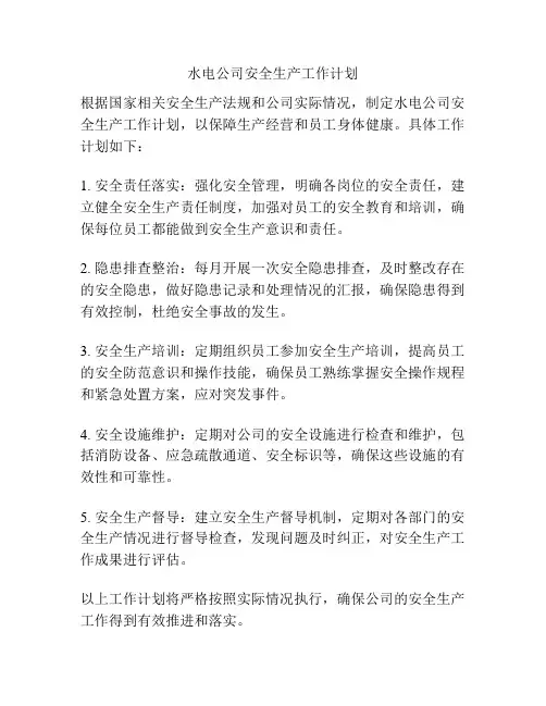 水电公司安全生产工作计划