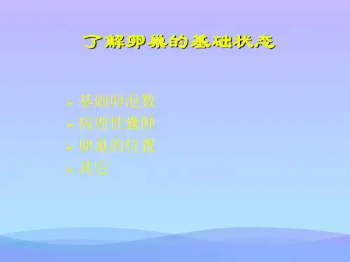 B超监测卵泡发育2021优秀文档