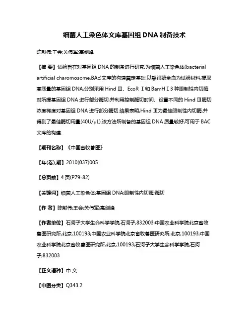 细菌人工染色体文库基因组DNA制备技术
