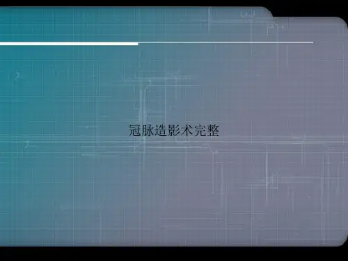 冠脉造影术完整演示文档