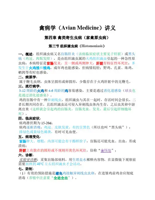 禽病学讲义-第四章 禽类寄生虫病(4-禽毛滴虫病)