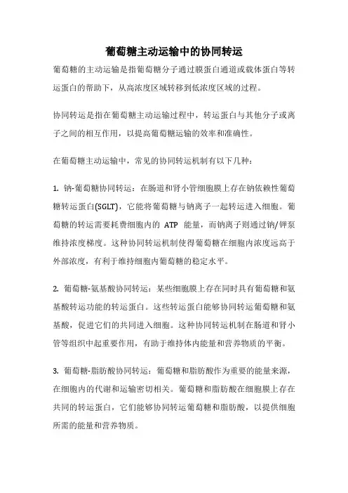 葡萄糖主动运输中的协同转运