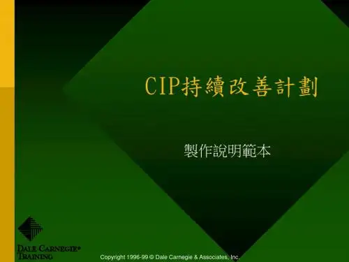 CIP持续改善计划_范例