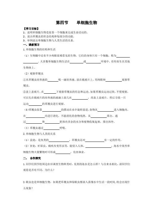 2.2.4  单细胞生物  导学案-2023-2024学年人教版生物七年级上册