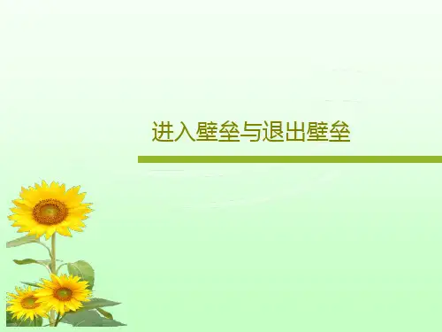 进入壁垒与退出壁垒共39页文档