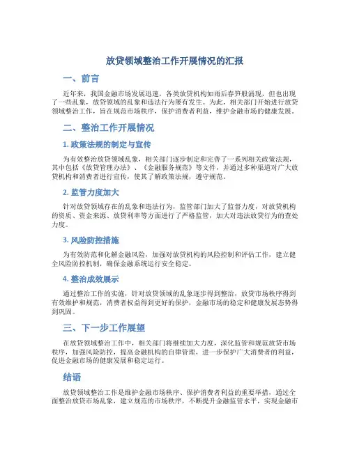 放贷领域整治工作开展情况的汇报