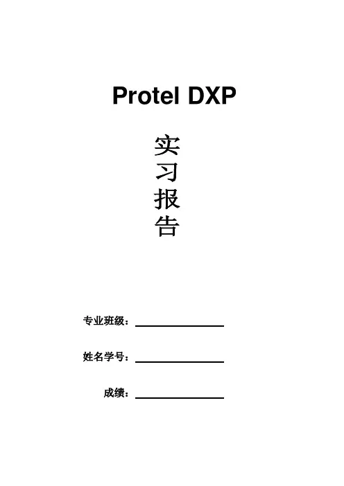 Protel DXP报告