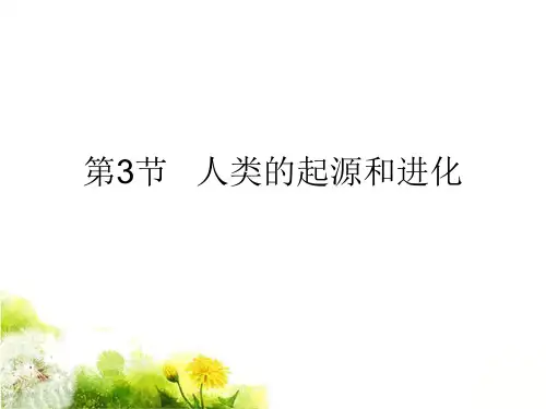 北师大版八下生物 2人类的起源与进化 课件