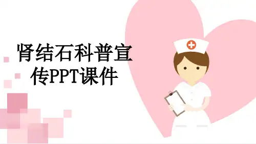 肾结石科普宣传PPT课件