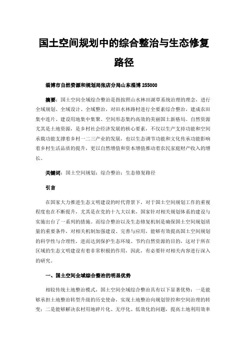 国土空间规划中的综合整治与生态修复路径