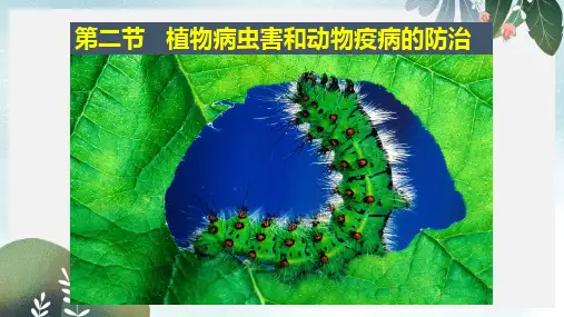 高中生物第一章生物科学与农业1.2植物病虫害和动物疫病的防治课件浙科版选修2