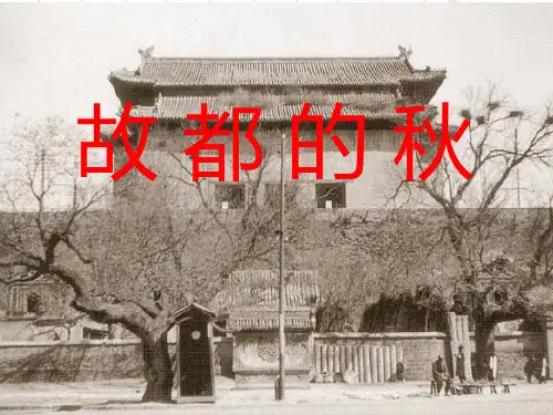 【新教材】14《故都的秋》PPT精品课件—2020年秋高一语文部编版(2019)必修上册_2
