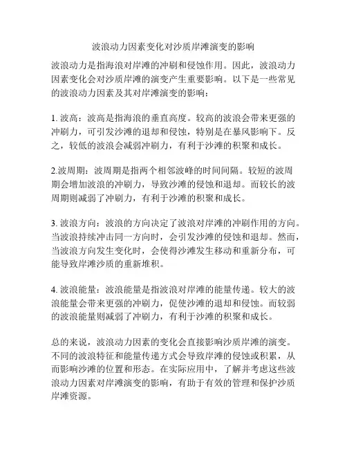 波浪动力因素变化对沙质岸滩演变的影响