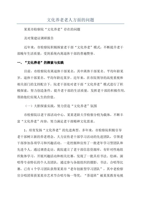 文化养老老人方面的问题