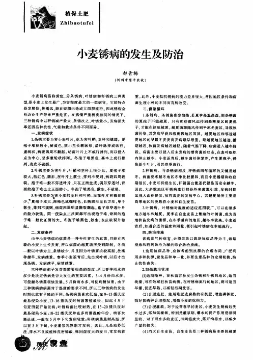 小麦锈病的发生及防治