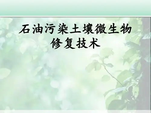 微生物资源开发及利用ppt
