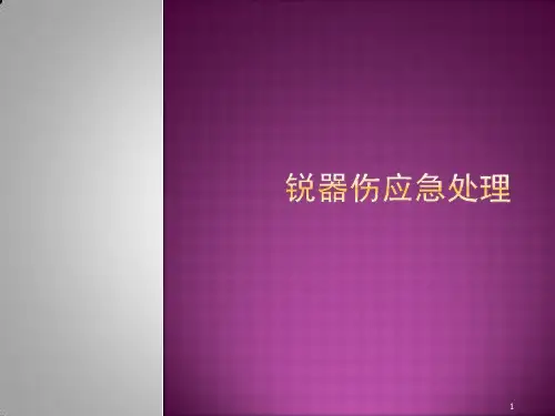 锐器伤应急处理ppt课件