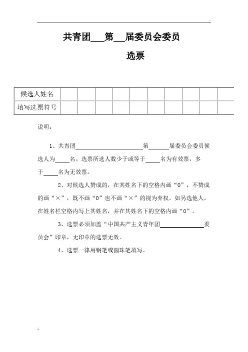 选票格式