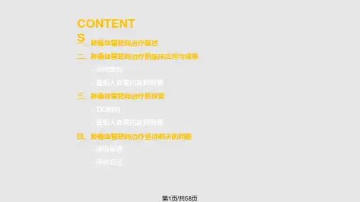 肺癌血管靶向治疗新进展PPT课件