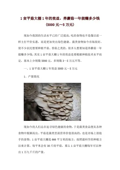 1亩平菇大棚1年的效益,养蘑菇一年能赚多少钱(5000元～5万元)