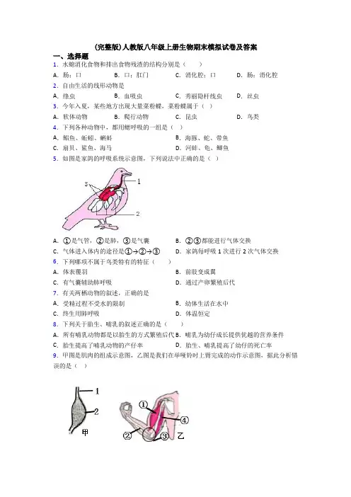 (完整版)人教版八年级上册生物期末模拟试卷及答案