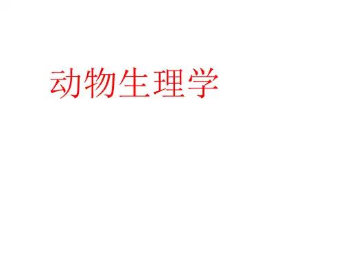 动物生理学全套课件(下)