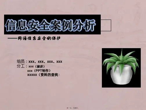 网络信息安全案例分析