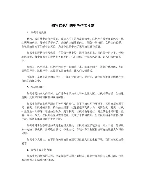 描写红枫叶的中考作文4篇