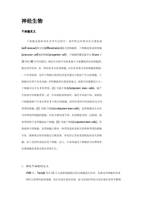 神经干细胞——精选推荐