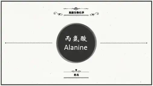 丙氨酸-生化课件详解