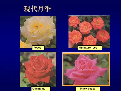 [园林植物育种学课件]-第6章 杂种优势的利用(04-03-28)-49页精选文档