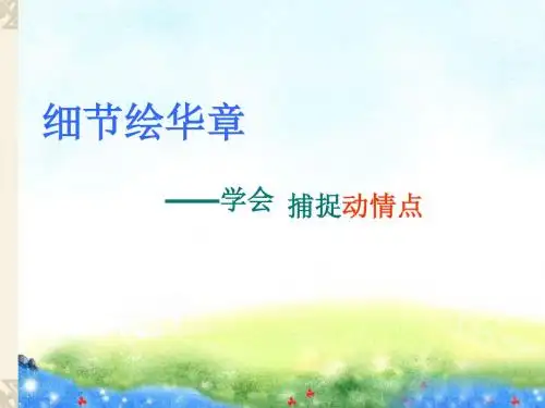 细节绘华章——学会捕捉动情点 PPT课件