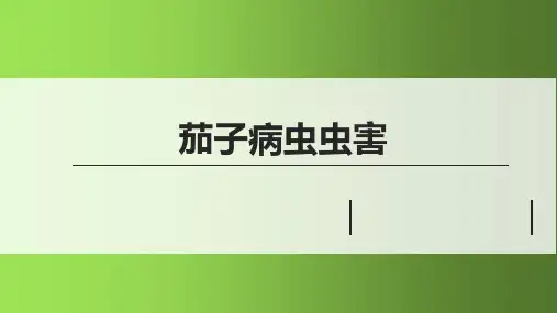 茄子病虫虫害课件(共17张PPT)《蔬菜生产技术》同步教学(中国农业出版社)