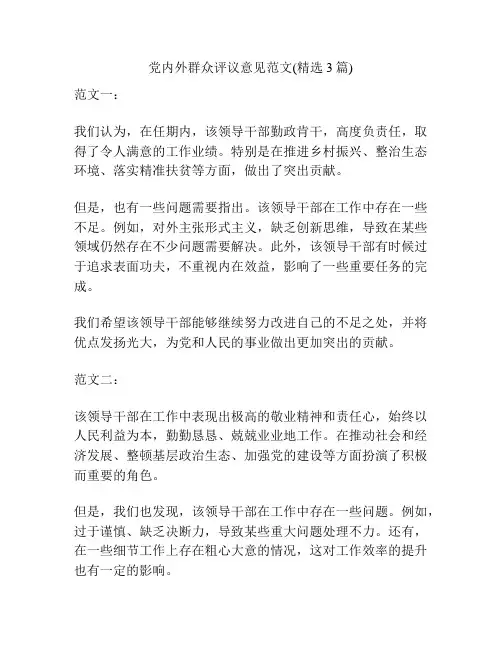 党内外群众评议意见范文(精选3篇)