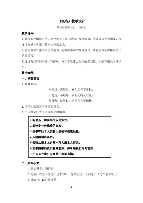 吕佼欣《根鸟》教案设计.doc