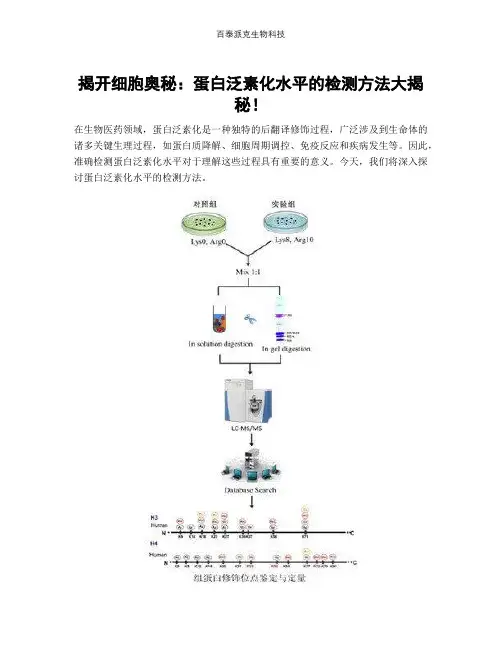 揭开细胞奥秘：蛋白泛素化水平的检测方法大揭秘!