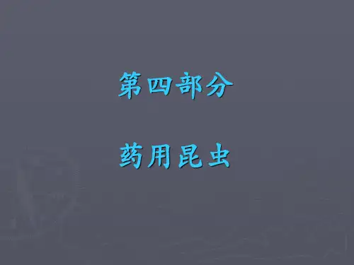 第四部分(一),药用昆虫