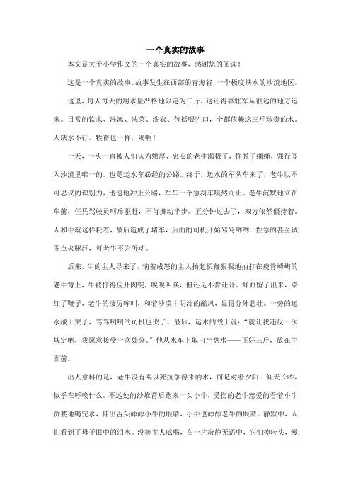 一个真实的故事_小学作文